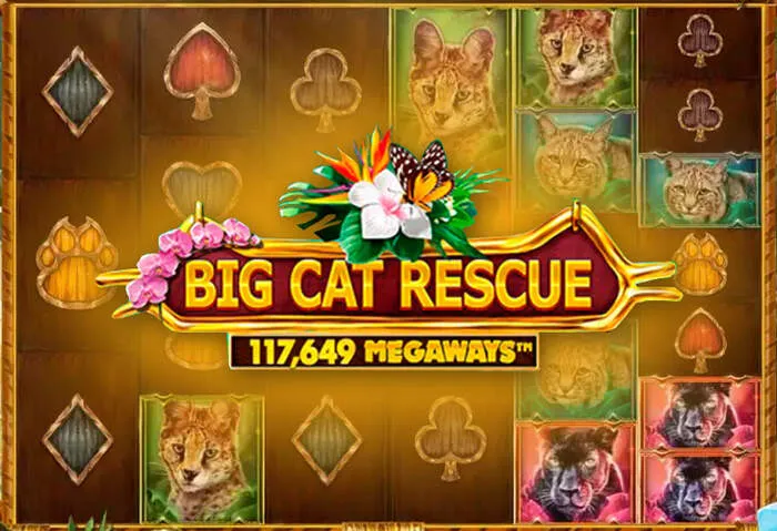 Player celebrating a big jackpot win from a high payout Ignition Casino game