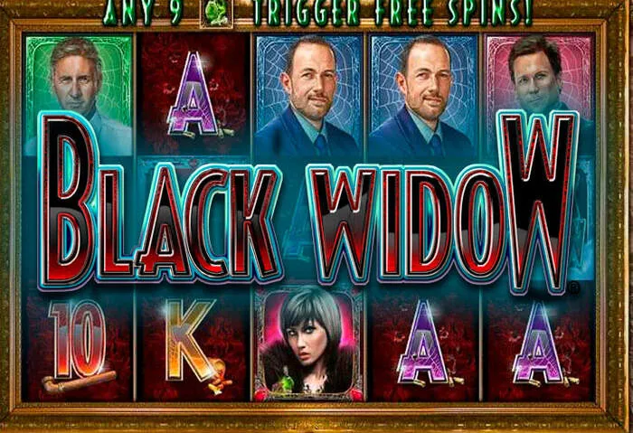 Secure Ignitioncasino casino payment options.